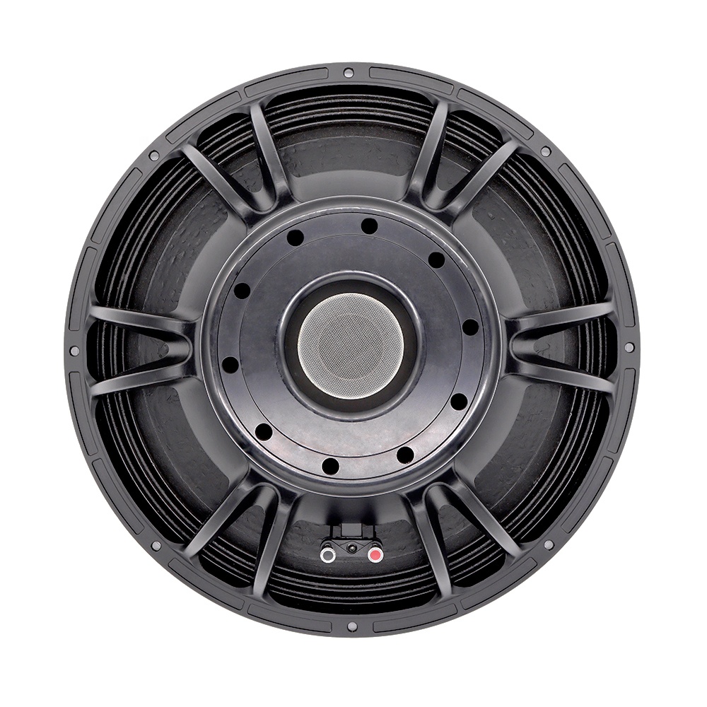 Profesjonalny system audio 21' – Speakers recenzja i cena