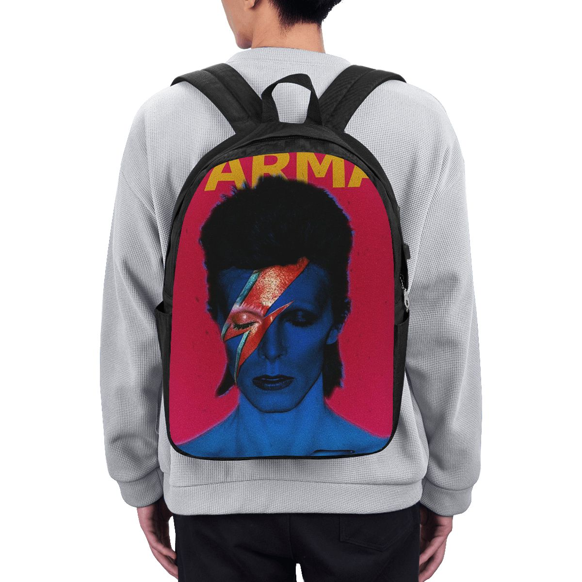 Plecak Davids Bowied, torba po – Laptops recenzja i cena